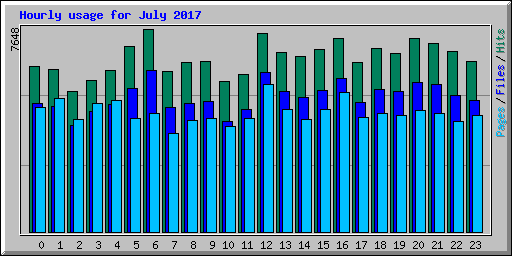 Hourly usage for July 2017