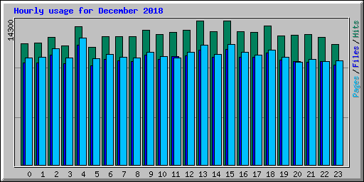 Hourly usage for December 2018