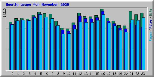 Hourly usage for November 2020