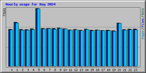 Hourly usage for May 2024