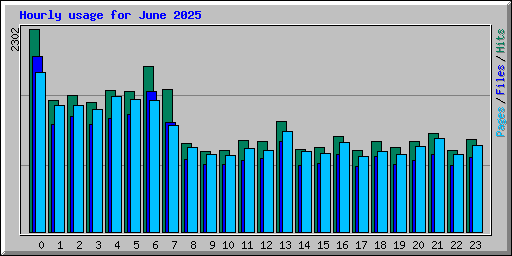 Hourly usage for June 2025