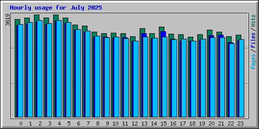 Hourly usage for July 2025